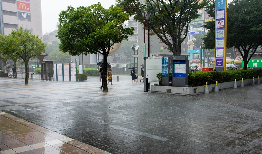 台風の強風と雨
