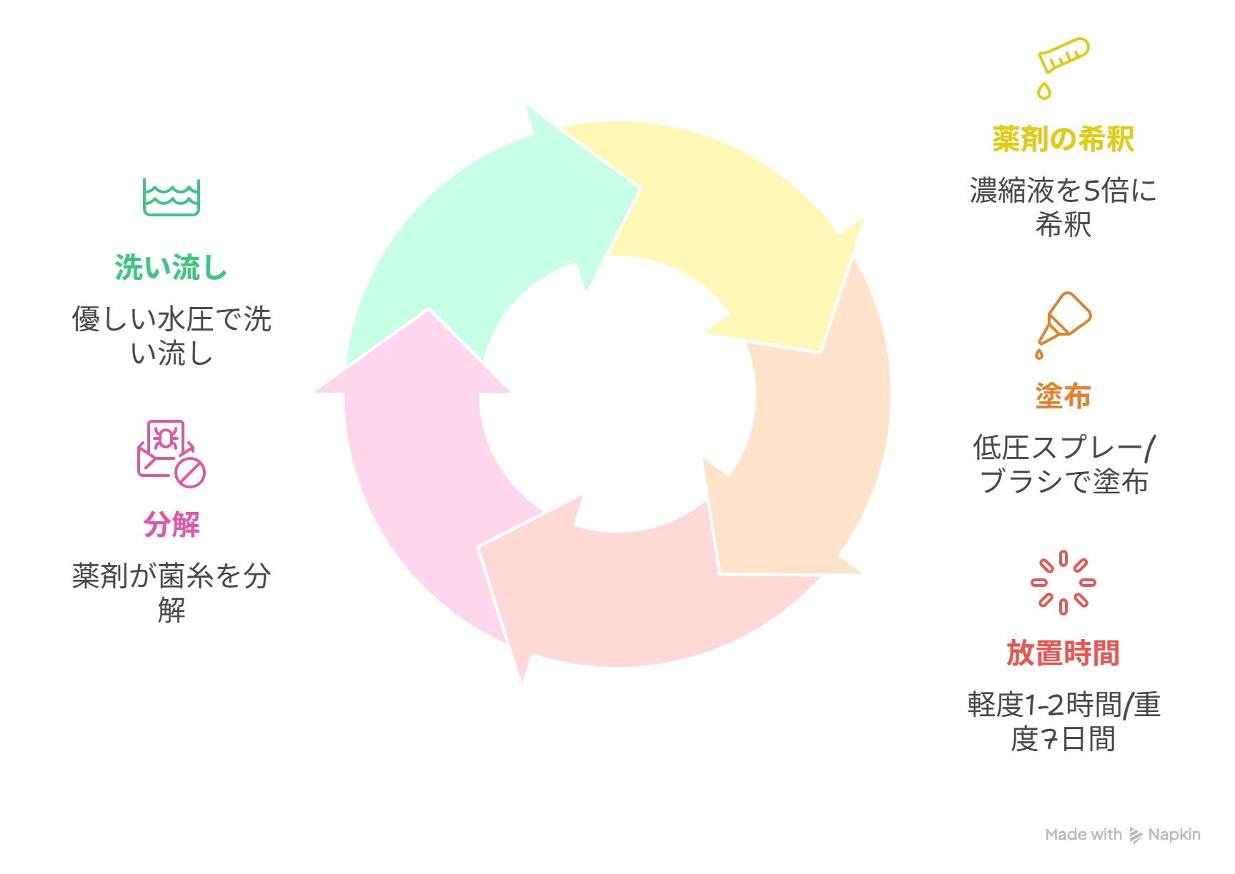 バイオ洗浄の施工プロセス