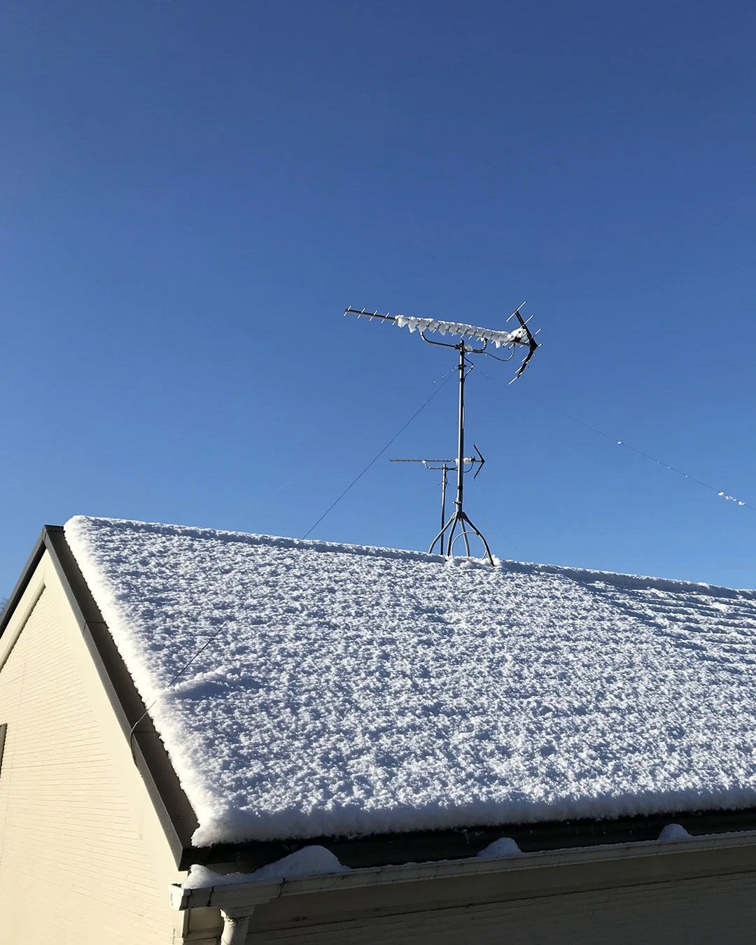 雪に覆われた屋根