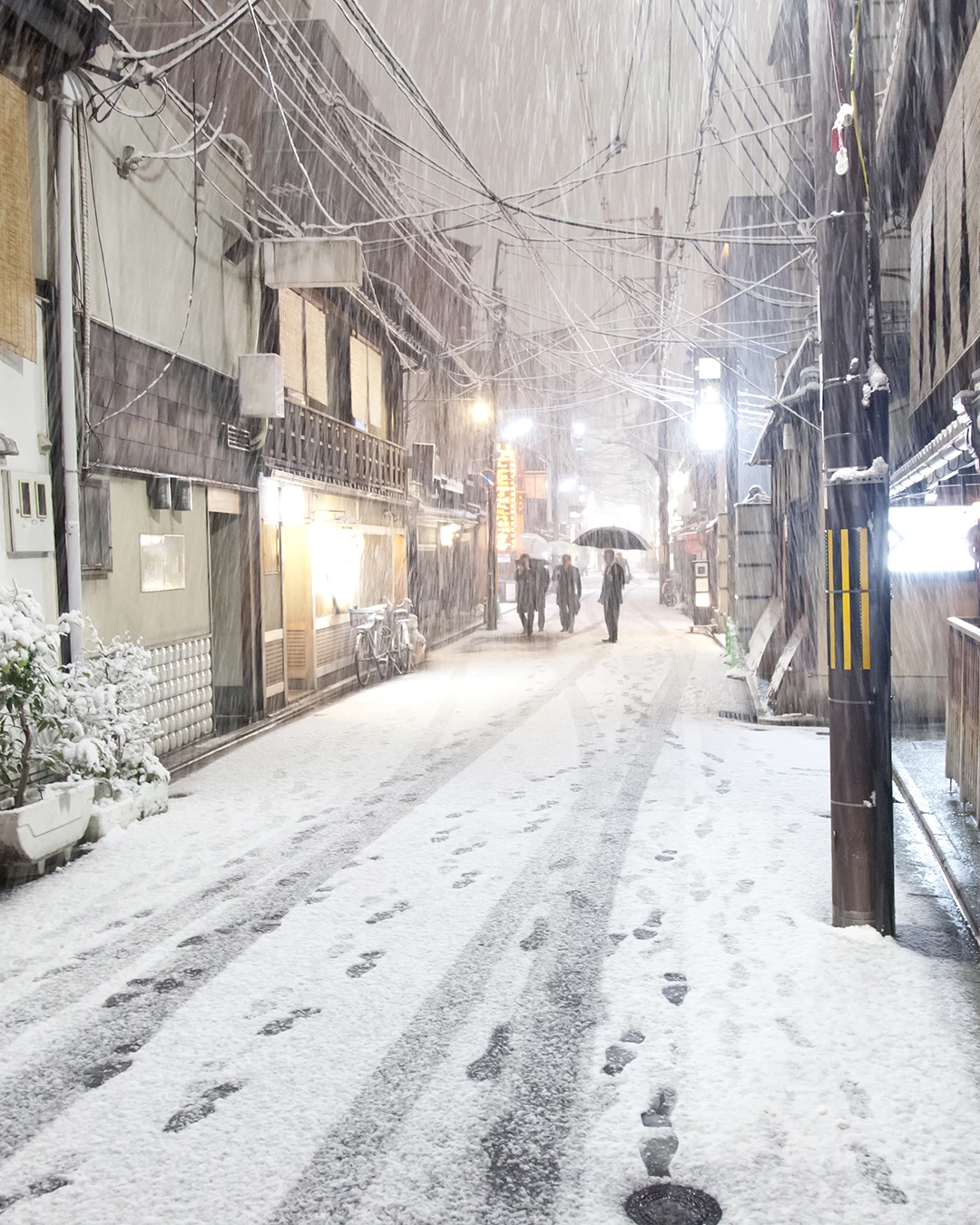 冬の京都の風景